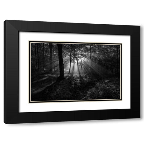 A Sunny Morning Black Modern Wood Framed Art Print with Double Matting by Londal, Leif