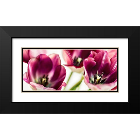 Tulips Iv Black Modern Wood Framed Art Print with Double Matting by Bsmart