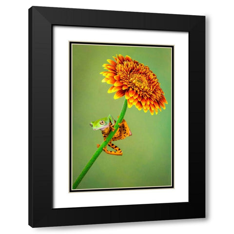 Just Hanging Around Black Modern Wood Framed Art Print with Double Matting by Doyle, Renee