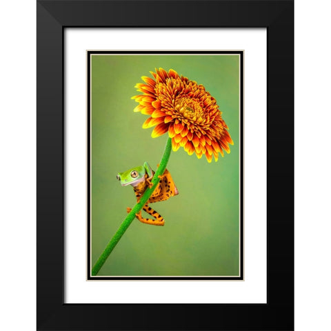 Just Hanging Around Black Modern Wood Framed Art Print with Double Matting by Doyle, Renee