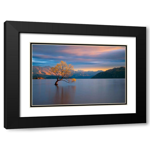 Morning Glow Black Modern Wood Framed Art Print with Double Matting by Doyle, Renee