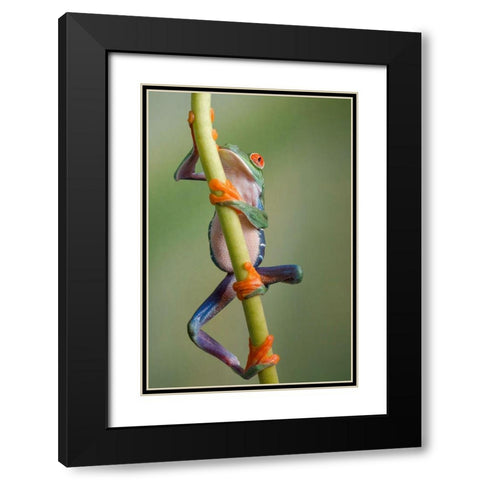 Ascending Black Modern Wood Framed Art Print with Double Matting by Schneider, Cheryl