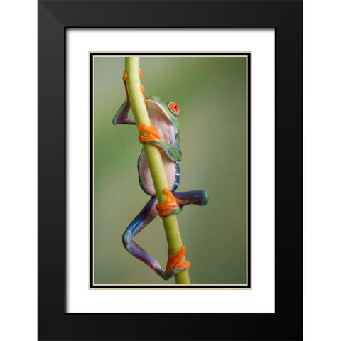 Ascending Black Modern Wood Framed Art Print with Double Matting by Schneider, Cheryl