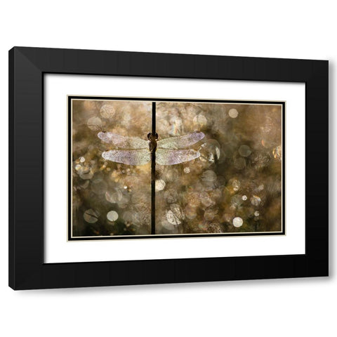 Morning Light Black Modern Wood Framed Art Print with Double Matting by Blanken, Rob