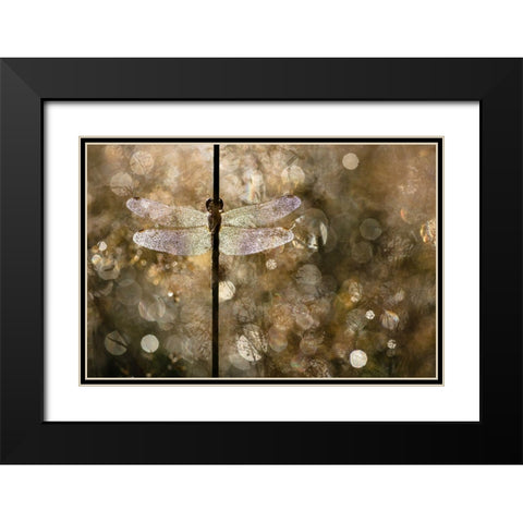 Morning Light Black Modern Wood Framed Art Print with Double Matting by Blanken, Rob