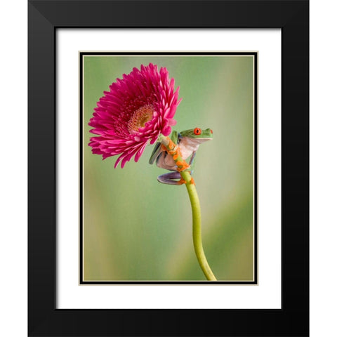 Lookout Black Modern Wood Framed Art Print with Double Matting by Schneider, Cheryl