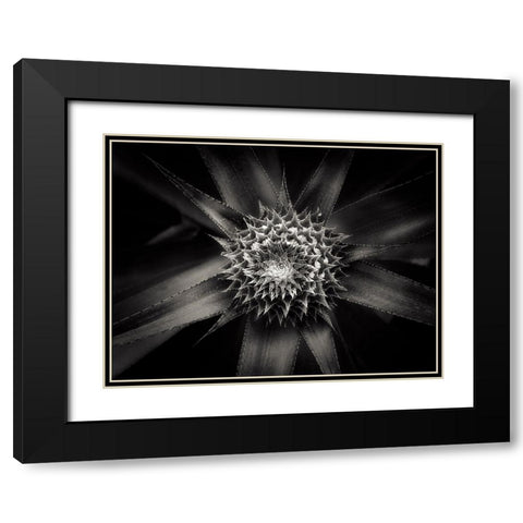 Barbed Black Modern Wood Framed Art Print with Double Matting by Sannwald, Joerg