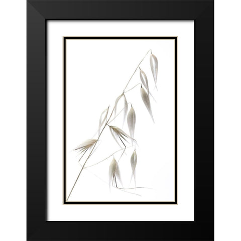 Reed Delicacy Black Modern Wood Framed Art Print with Double Matting by Lagandre, Thierry