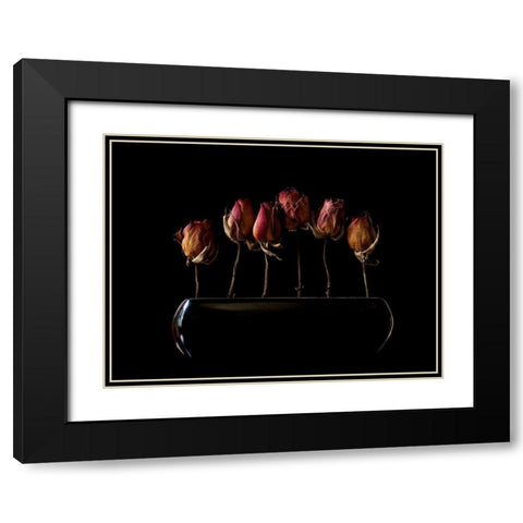 Night Garden Black Modern Wood Framed Art Print with Double Matting by Hummel, Jeffrey
