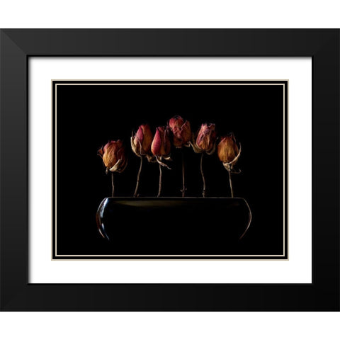 Night Garden Black Modern Wood Framed Art Print with Double Matting by Hummel, Jeffrey