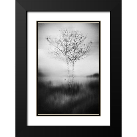 That Tree Black Modern Wood Framed Art Print with Double Matting by Perez Acevedo, Lisandro