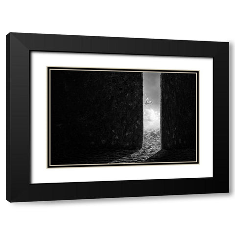 The White Bird Black Modern Wood Framed Art Print with Double Matting by Almawash, Sulaiman