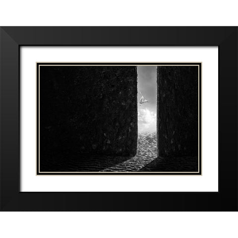 The White Bird Black Modern Wood Framed Art Print with Double Matting by Almawash, Sulaiman