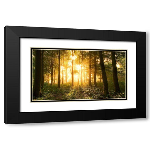 Light In The Forest. Black Modern Wood Framed Art Print with Double Matting by Londal, Leif