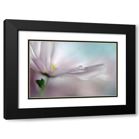 Where Dreams Come True Black Modern Wood Framed Art Print with Double Matting by Westum, Heidi