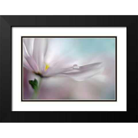 Where Dreams Come True Black Modern Wood Framed Art Print with Double Matting by Westum, Heidi