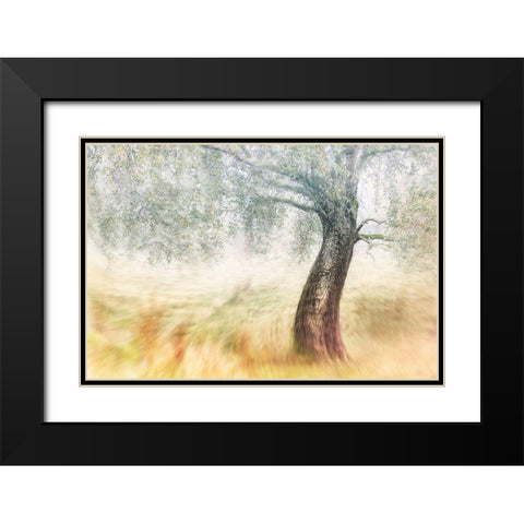 Twisted Dream Black Modern Wood Framed Art Print with Double Matting by Davidsson, Gustav