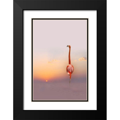 Sunset ... Black Modern Wood Framed Art Print with Double Matting by Cseresnjes, Anna