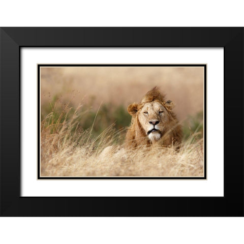 Handsome! Black Modern Wood Framed Art Print with Double Matting by Khataw, Ali