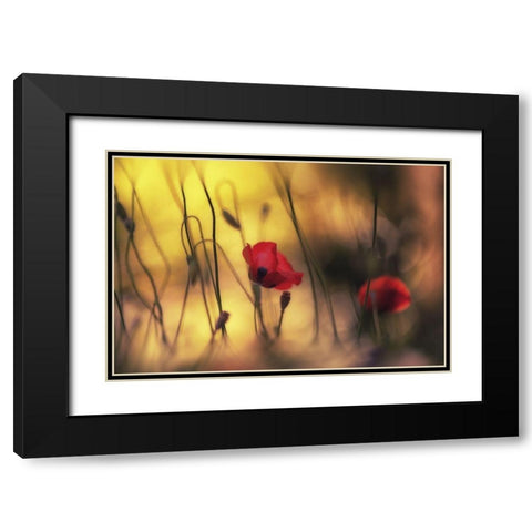 Untitled Black Modern Wood Framed Art Print with Double Matting by Or, Keren
