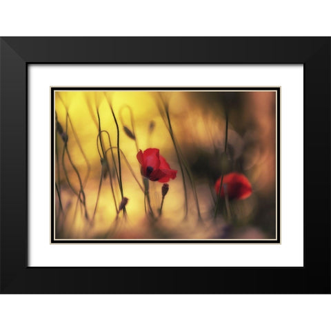 Untitled Black Modern Wood Framed Art Print with Double Matting by Or, Keren