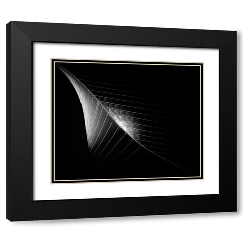 Scimitar 3 ( The Eclipse) Black Modern Wood Framed Art Print with Double Matting by Thabet, Ahmed
