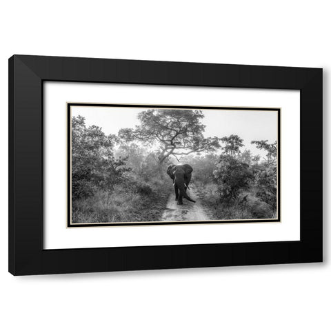 Walking Giant Black Modern Wood Framed Art Print with Double Matting by Marx, Jaco