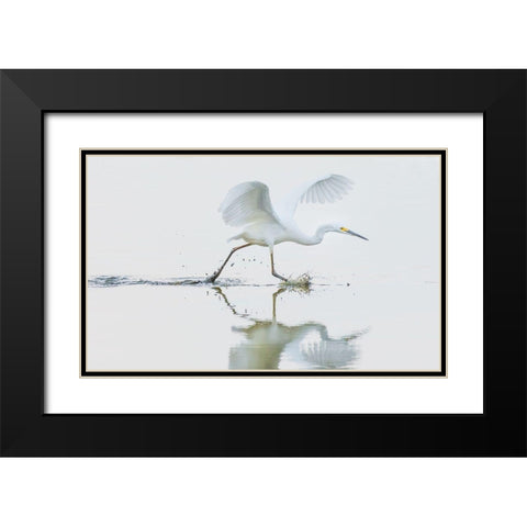 Untitled Black Modern Wood Framed Art Print with Double Matting by Tian, Xiaobing
