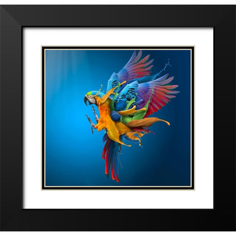 Flying Colours Black Modern Wood Framed Art Print with Double Matting by Almawash, Sulaiman