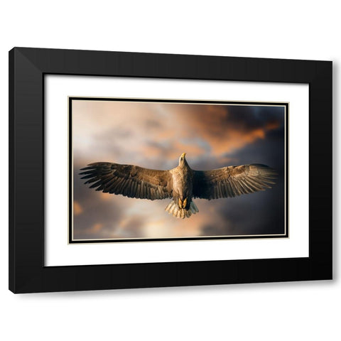 The Last Flight Black Modern Wood Framed Art Print with Double Matting by Ghizzi Panizza, Alberto