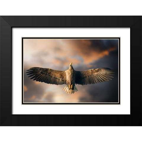 The Last Flight Black Modern Wood Framed Art Print with Double Matting by Ghizzi Panizza, Alberto