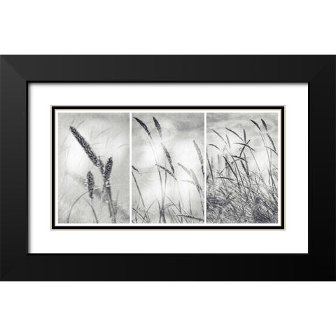 The Wilderness Black Modern Wood Framed Art Print with Double Matting by Abrantes, Paulo