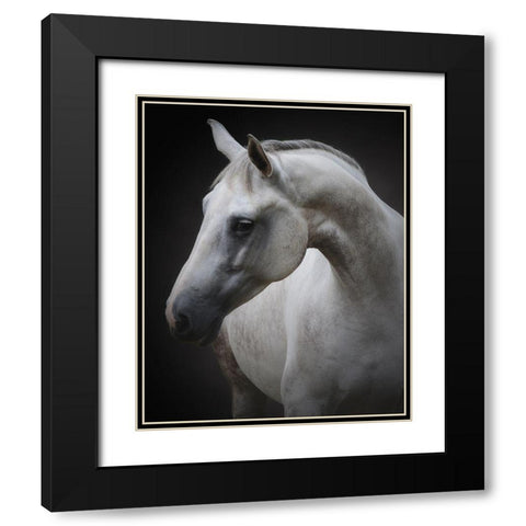 Maggie Black Modern Wood Framed Art Print with Double Matting by Avivi, Avishai