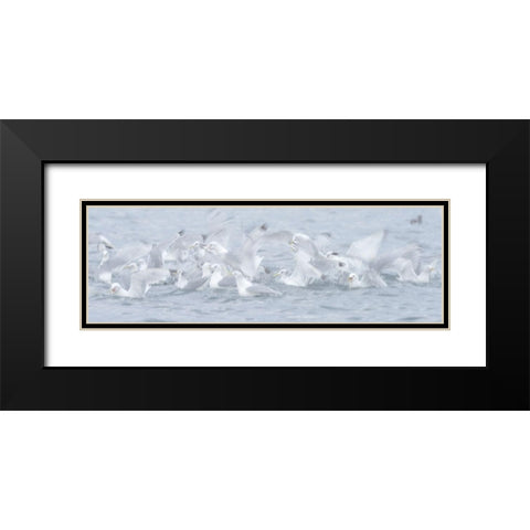 Breaking The Surface Black Modern Wood Framed Art Print with Double Matting by Marchegiani, Roberto