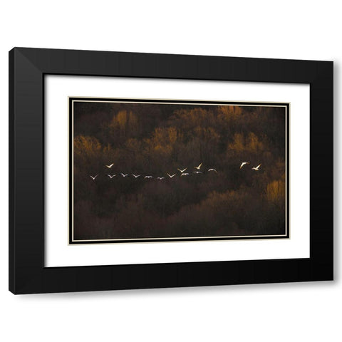 Morning Mood Black Modern Wood Framed Art Print with Double Matting by Li, Austin