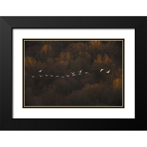 Morning Mood Black Modern Wood Framed Art Print with Double Matting by Li, Austin