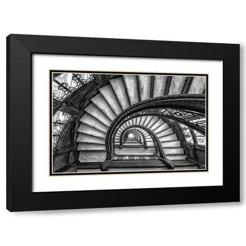 The Rookery Black Modern Wood Framed Art Print with Double Matting by Sun, Yimei
