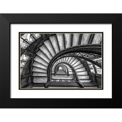 The Rookery Black Modern Wood Framed Art Print with Double Matting by Sun, Yimei