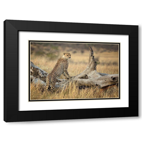 Strong Black Modern Wood Framed Art Print with Double Matting by Doyle, Renee