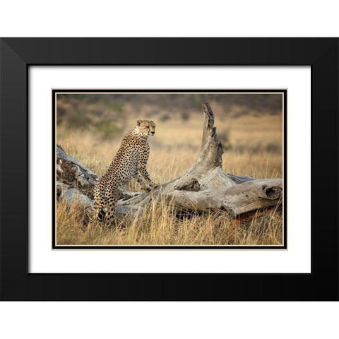 Strong Black Modern Wood Framed Art Print with Double Matting by Doyle, Renee