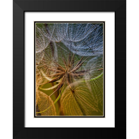 Inside Black Modern Wood Framed Art Print with Double Matting by Mathiesen, Kent