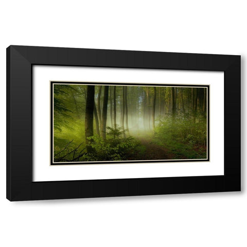 Early Fall Black Modern Wood Framed Art Print with Double Matting by Maier, Norbert