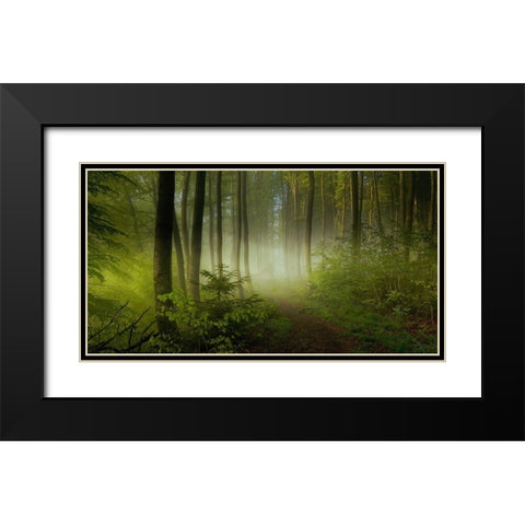Early Fall Black Modern Wood Framed Art Print with Double Matting by Maier, Norbert