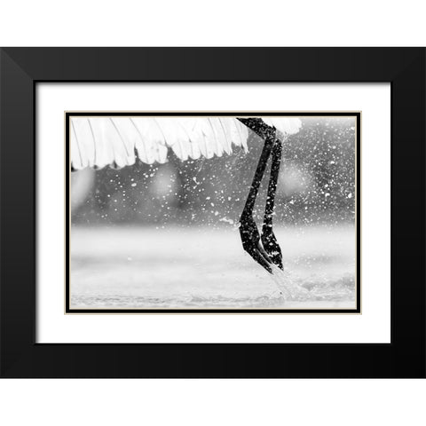 Taking Off Black Modern Wood Framed Art Print with Double Matting by Zuo, Jun