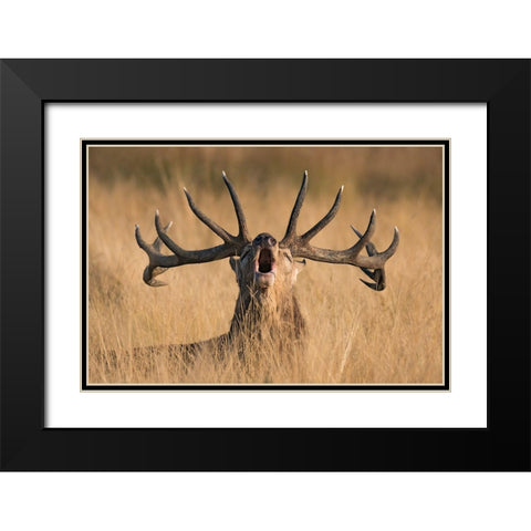Ready To Rut Black Modern Wood Framed Art Print with Double Matting by Uddin, Kutub