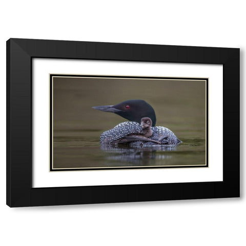 Back Seat Black Modern Wood Framed Art Print with Double Matting by Barsh, Greg