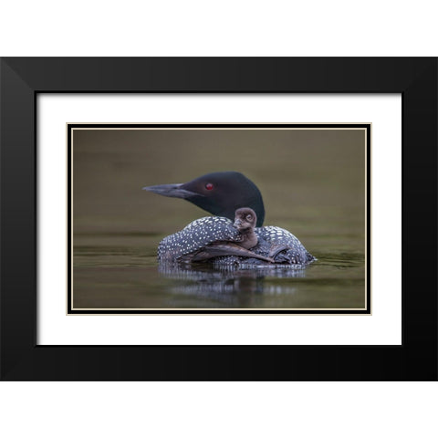 Back Seat Black Modern Wood Framed Art Print with Double Matting by Barsh, Greg