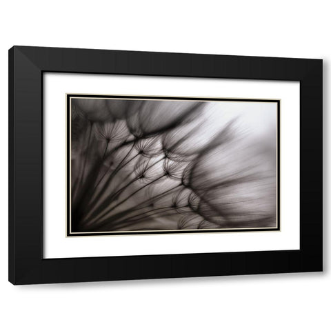 Untitled Black Modern Wood Framed Art Print with Double Matting by Or, Keren