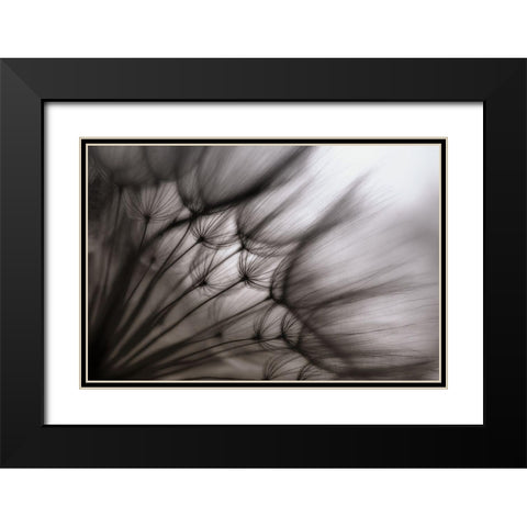 Untitled Black Modern Wood Framed Art Print with Double Matting by Or, Keren