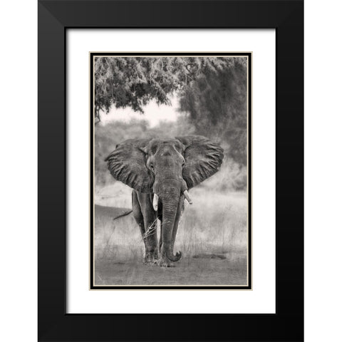 Coming ... Black Modern Wood Framed Art Print with Double Matting by Catta, Alessandro